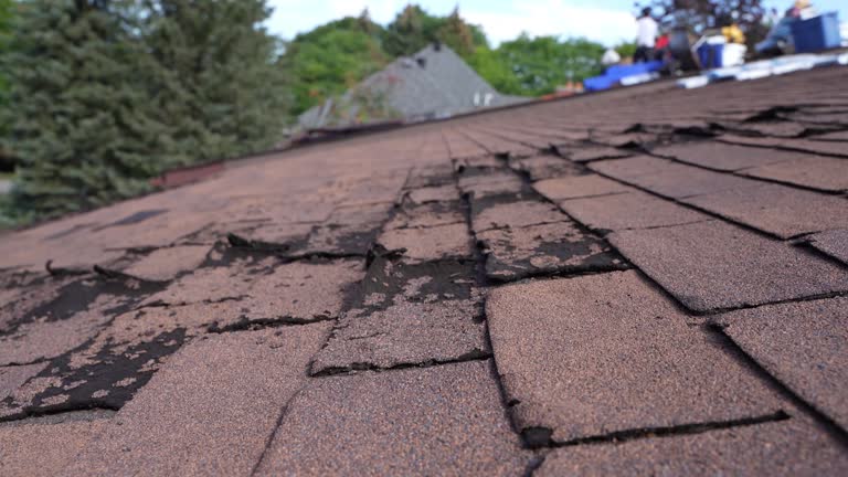 Steel Roofing in West Portsmouth, OH